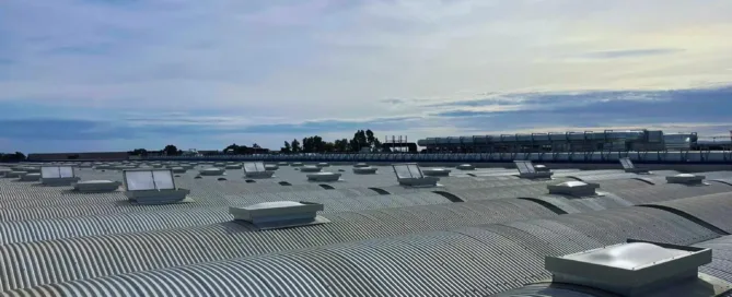 sicep e pancaldi